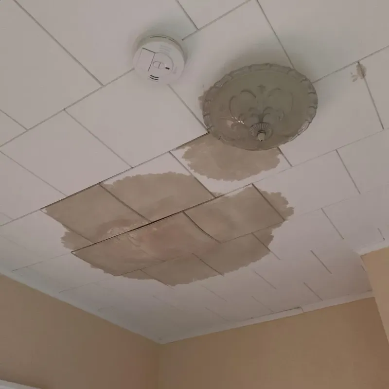 Ceiling Water Damage Repair in Franklin County, AL