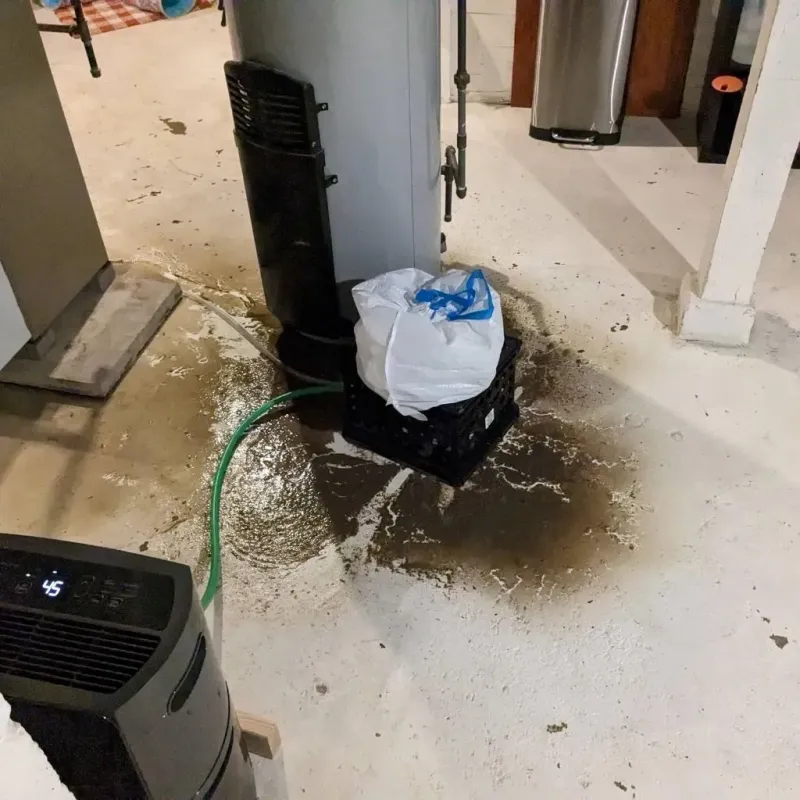 Sewage Backup Cleanup Service in Franklin County, AL